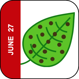 June 27 Icon