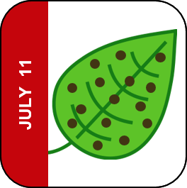 July 11 Icon
