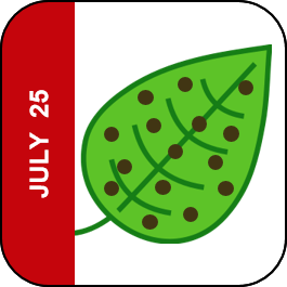 July 25 Icon