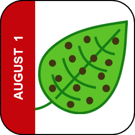 August 1 Icon