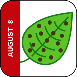 August 8 Icon