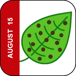 August 15 Icon