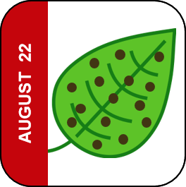 August 22 Icon