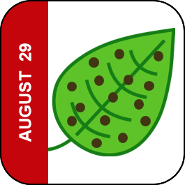 August 29 Icon