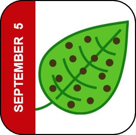 September 5 Icon