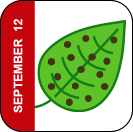 September 12 Icon