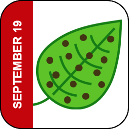 September 19 Icon