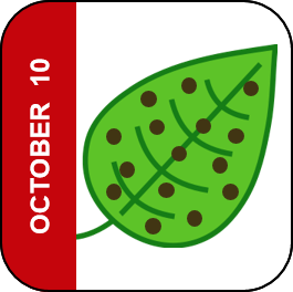 October 10 Icon