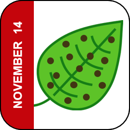 November 14 Icon