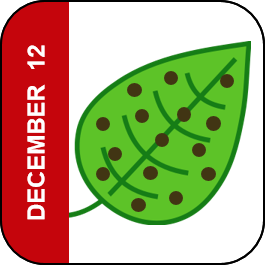 December 12 Icon