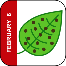 February 6 Icon