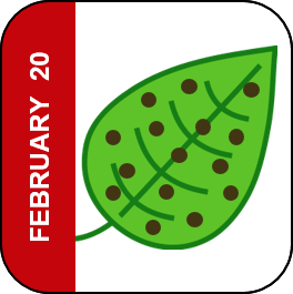 February 20 Icon