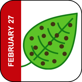 February 27 Icon